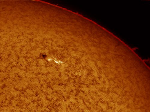 Sole in H-Alpha: fotosfera e protuberanze